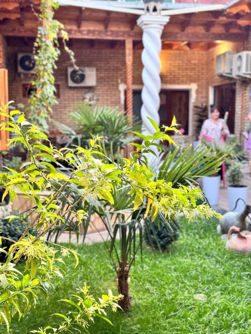 Trip.Le Guest House Samarkand Exterior foto