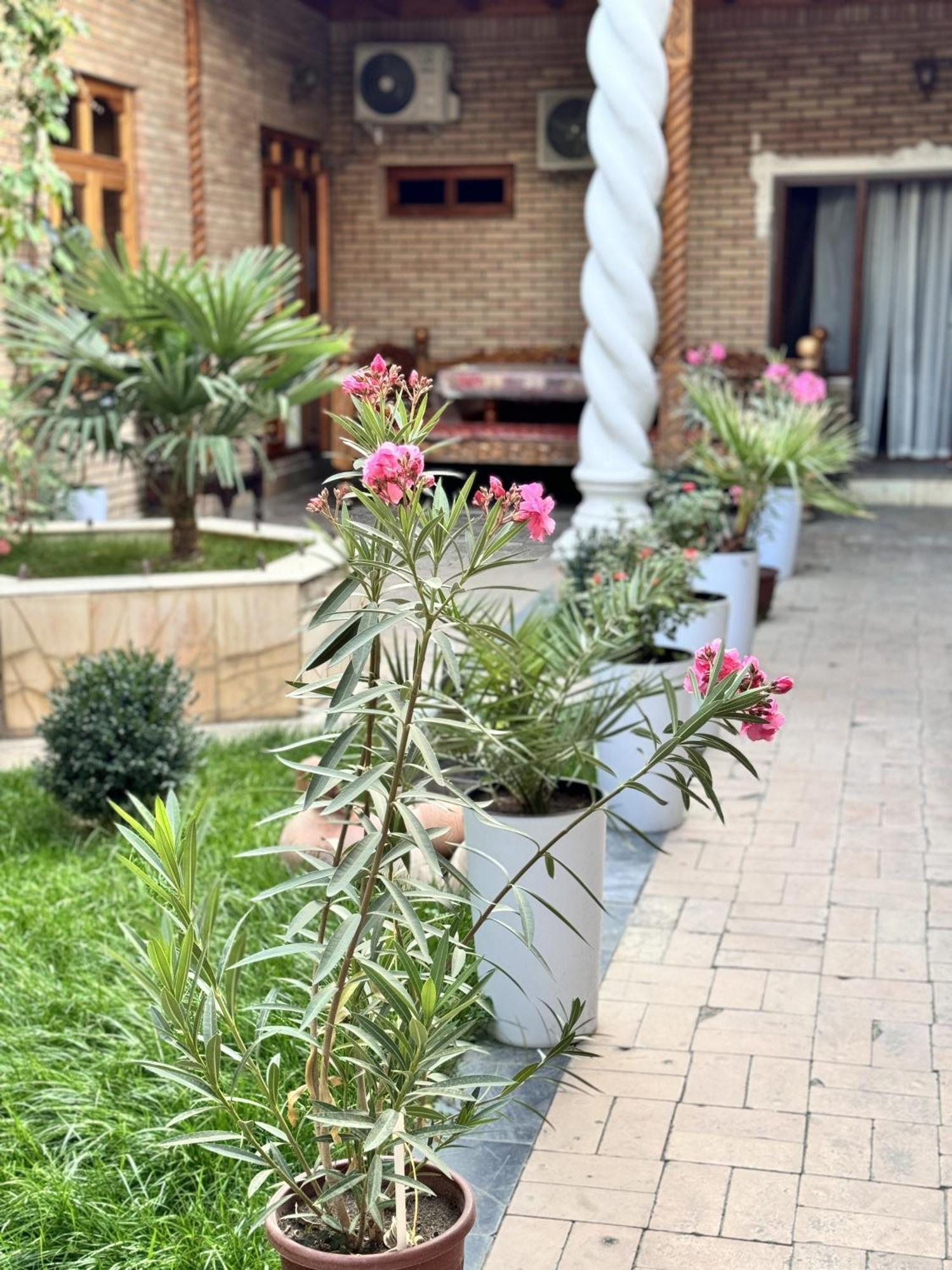 Trip.Le Guest House Samarkand Exterior foto