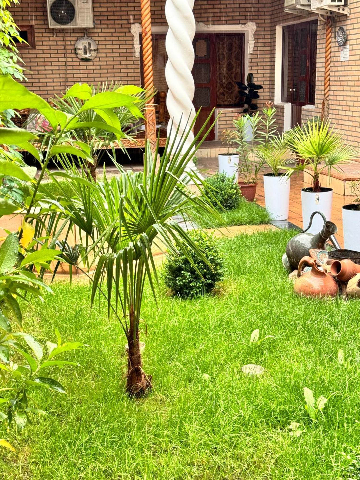 Trip.Le Guest House Samarkand Exterior foto